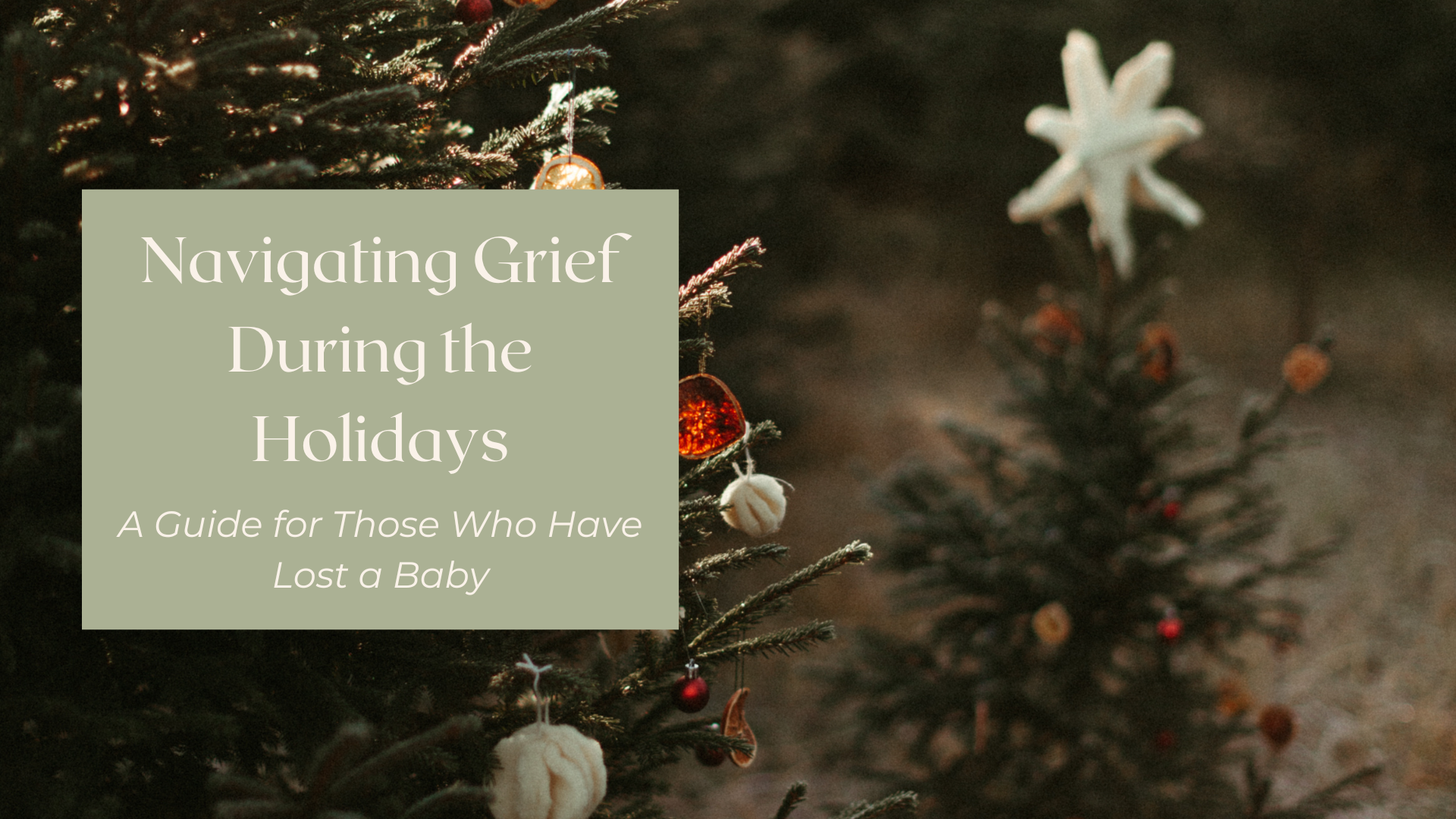 Holiday grief